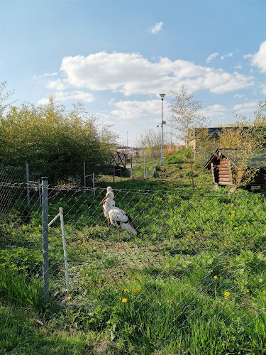 Ogród zoologiczny w Zamościu im. Stefana Milera - Zamość