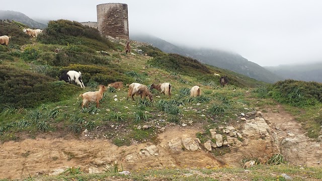 Moulin Mattei