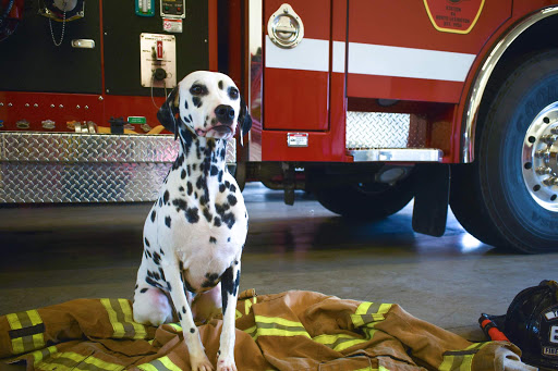 North Lexington Triangle Fire Department - Thumbnail