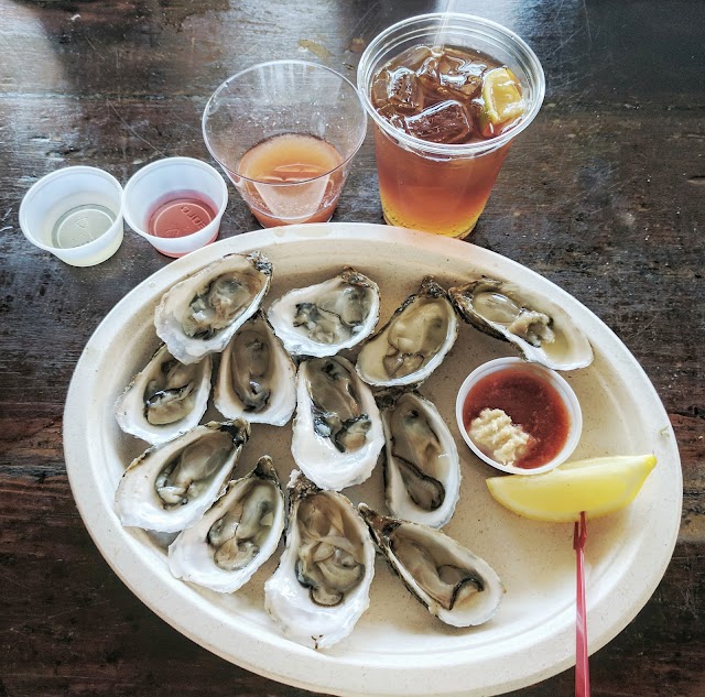 Beachcomber in Wellfleet