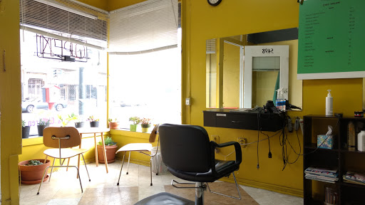Chic Salon Logo