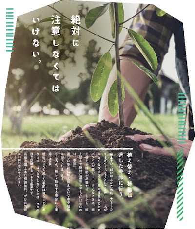 高橋造園土木 圃場