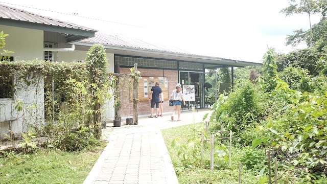 Bornean Sun Bear Conservation Centre (BSBCC)