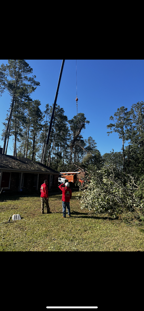  alt='I was pleasantly surprised by the affordability of Vilchis Tree Services. They offered a competitive quote and stuck to it. '