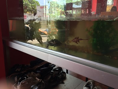 Photos of Ali Backpackers, Vientiane, Laos