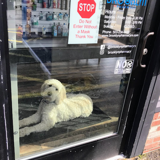Brooklyn Pharmacy - Visual