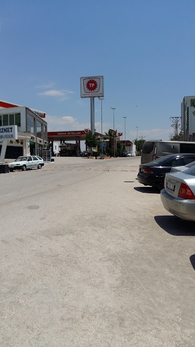 Photos of Oil Tp-Dehlevi