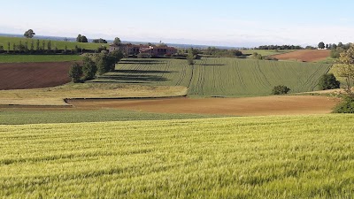 Photos of La Commedia Della Pentola