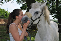 Agathe Drans Shiatsu - Equin et animalier à Beaumont-Pied-de-Boeuf