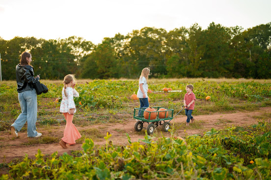 Rooted Family Farm by null