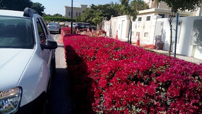 Photos of Lailak Park, Emirates Hills