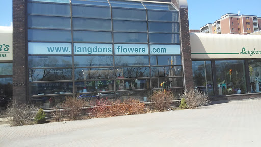Langdon's Flowers - Visual
