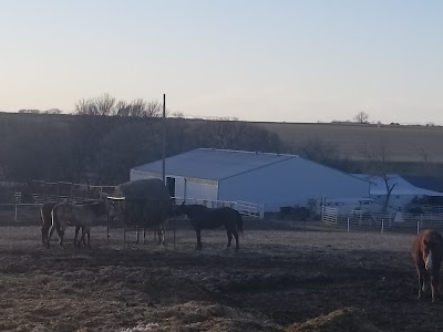 Scott Rystrom Quarter Horses