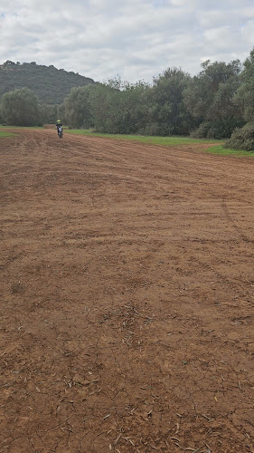 Comentários e avaliações sobre o Pista de motocross