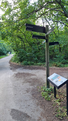 Hälleviks arboretum start - Thumbnail