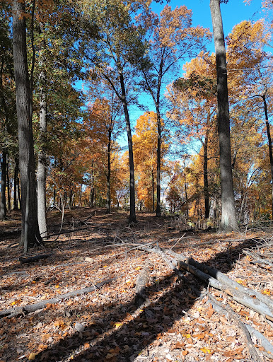 Hershey Medical SAMBA MTB Trail System - Thumbnail