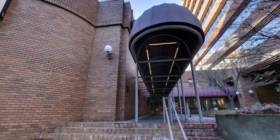 The Cinematheque by null