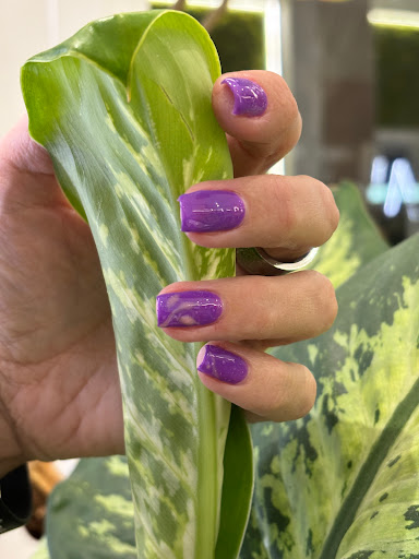 Natural Beauty Aveda - Thumbnail