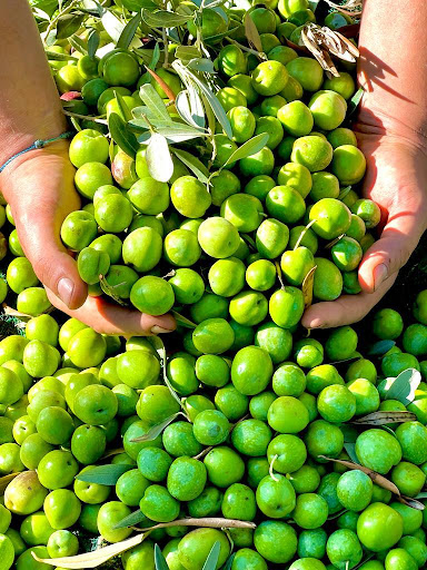 Emerald Oil - Visual