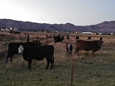 Lompa Cattle Ranch