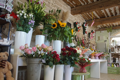 Nice Fleurs - Visual