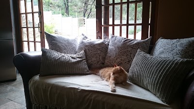 Photos of Hotel Thule