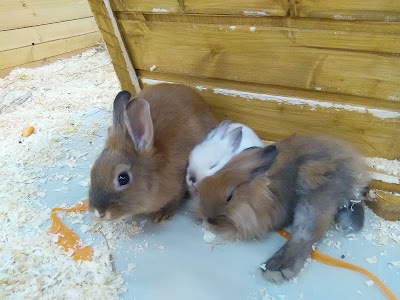 Photos of Touching Zoo