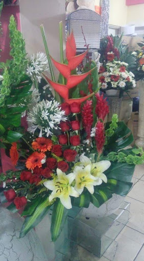 Floreria Elo - Visual