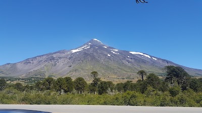 Photos of Bosque De Araucarias