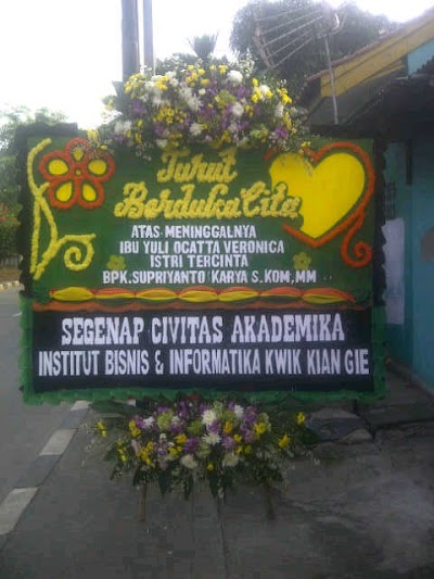 Photos of Fresia florist
