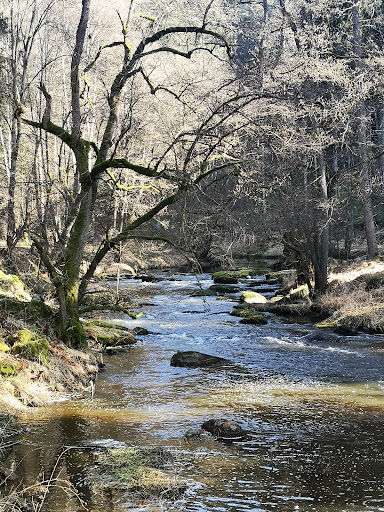 Waldnaab Uferpfad Wanderparkplatz