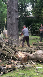 Photo n°10 de David Paysage à Vernon (Service d'élagage)