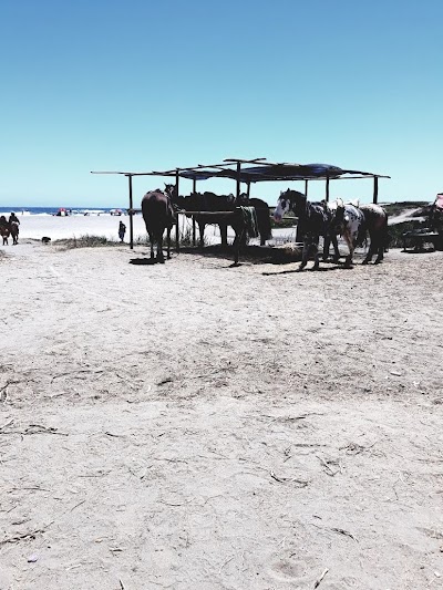 Photos of Plaza Costa Azul