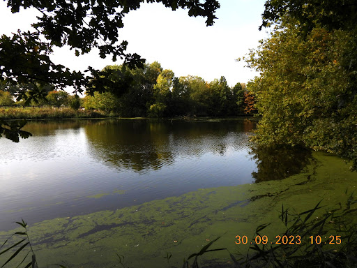 Karthäuser Silbersee - Thumbnail
