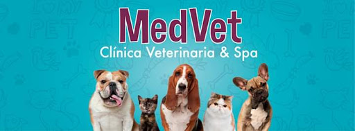 Clínica Veterinaria & Spa MedVet