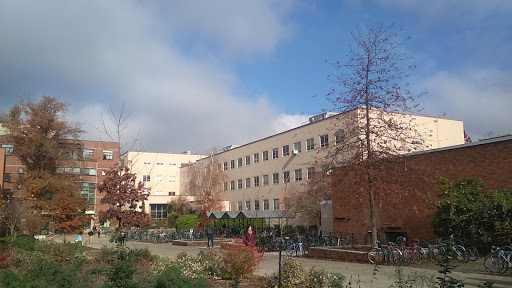 Pacific Hall - Visual