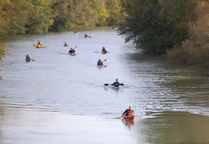 Photo n°1 de Aviron - Canoë - Kayak : Les Pelles Châlonnaises à Châlons-en-Champagne (Service de location de canoës-kayaks)