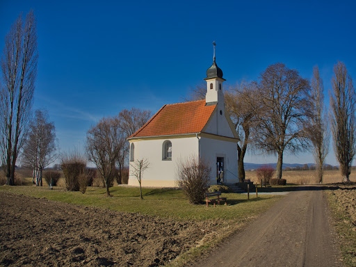 Aukirche - Visual