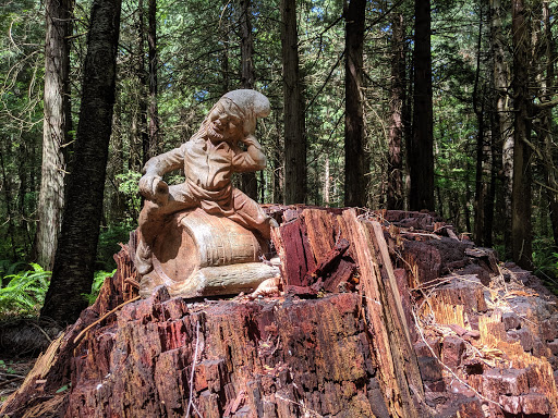 Enchanted Forest Trail - Thumbnail