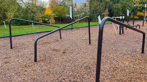 Calisthenics Park Dorval/Morris Gallery - Canada