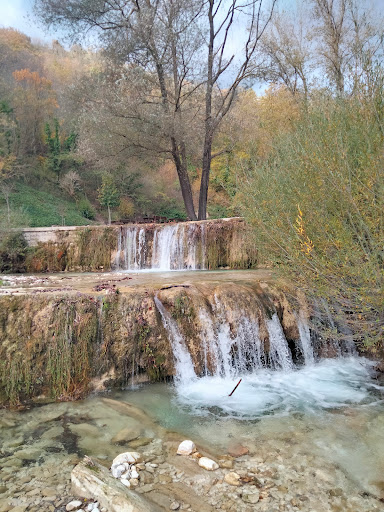 Tanella - Visual