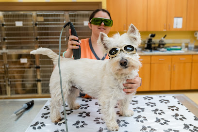 Boones Creek Animal Hospital