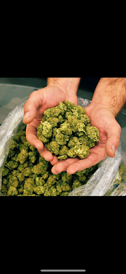Photo of Los Angeles Cannabis Club