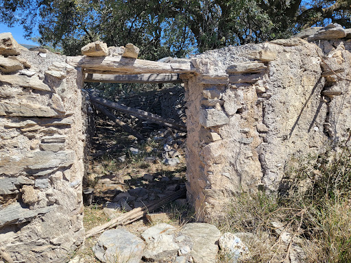 Joya Barka, - Visual