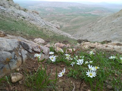 Photos of Mount Hinzir