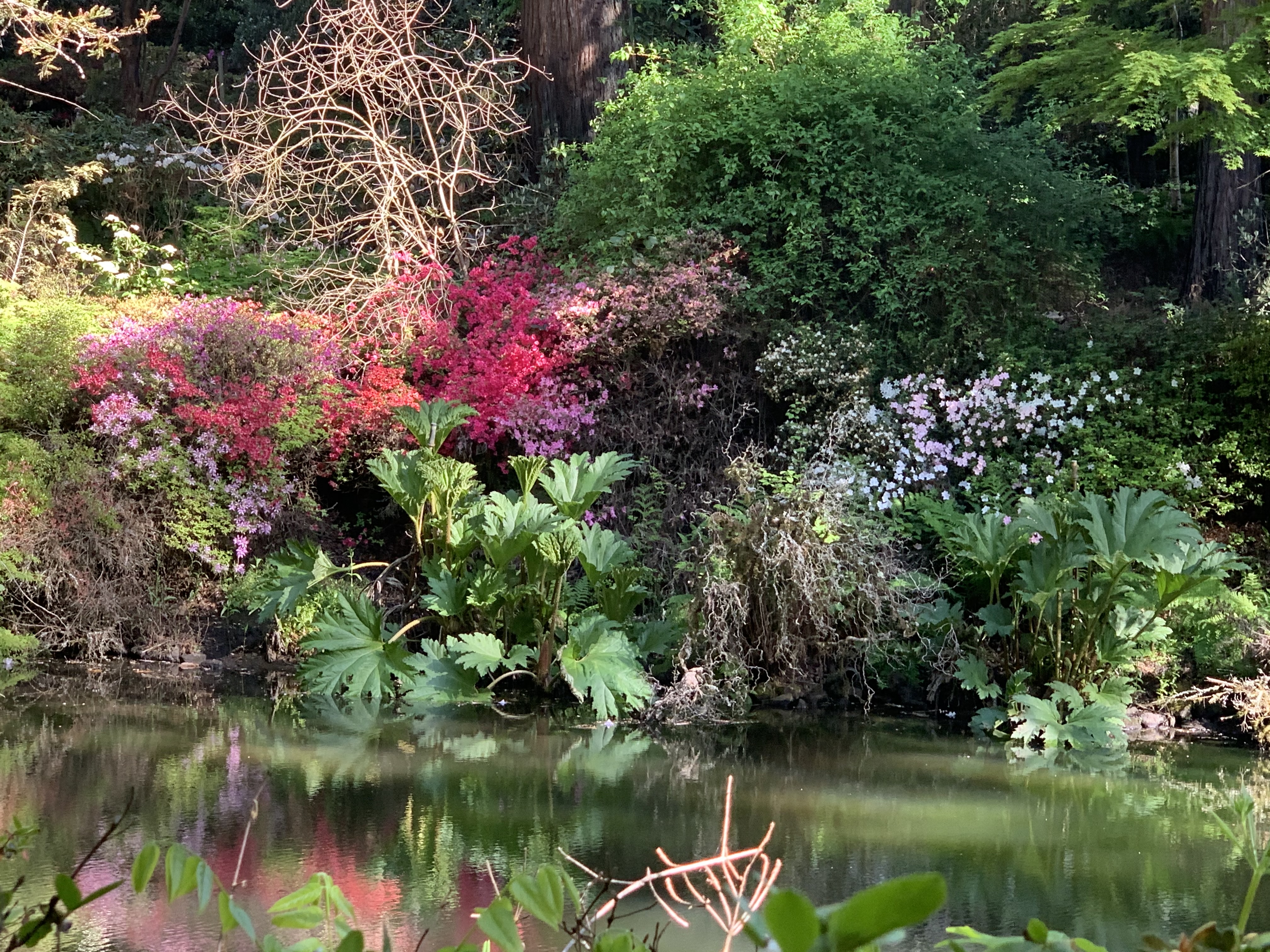 Sonoma Horticultural Nursery