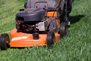 Photo n°3 de Alain Cycles Et Motoculture à Vendeuvre-sur-Barse (Magasin de vélos)