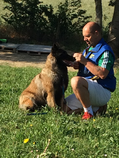 Pension, toilettage, élevage et éducation canin De la foret noir et feu - Thumbnail