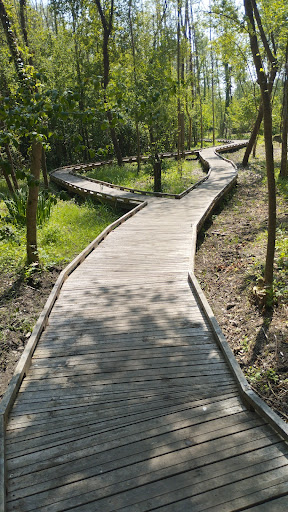 Passerelle des Marais de Moult-Chicheboville/Bellengreville/Vimont - Thumbnail