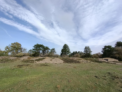 Camp préhistorique de Myard